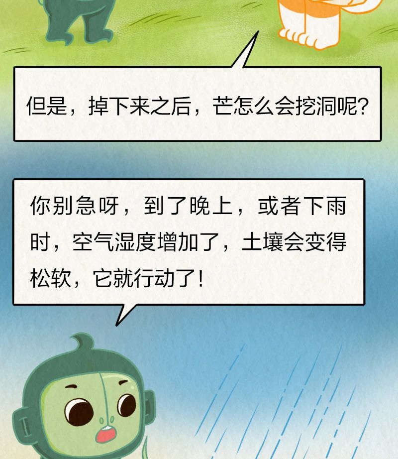 fb48f7ecf2294ff0793a7f2ef1902314.jpg