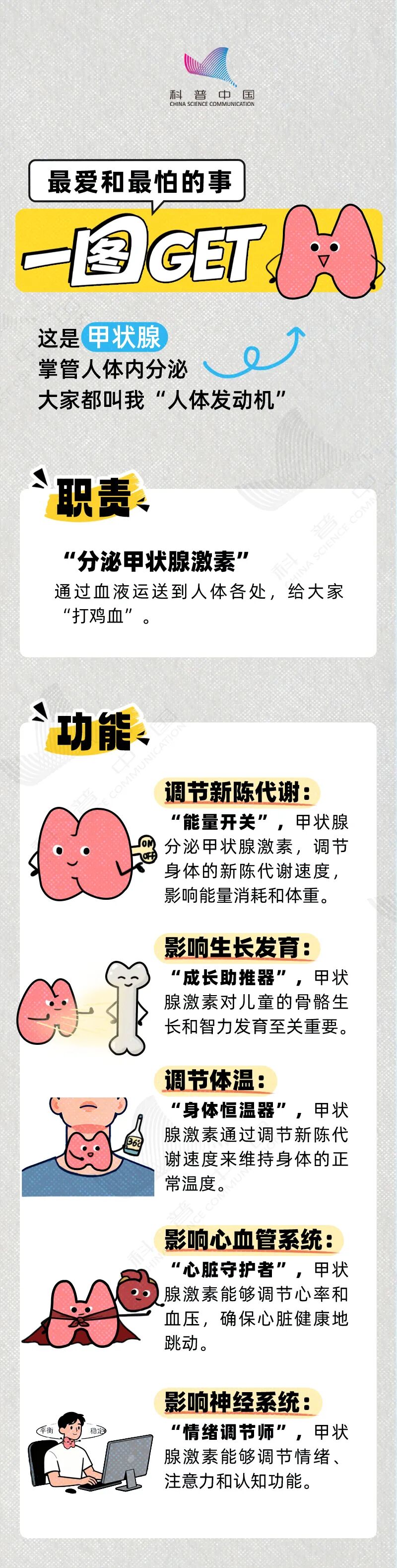 甲状腺最喜欢的 4 件事，坚持一段时间，指标就悄悄稳了