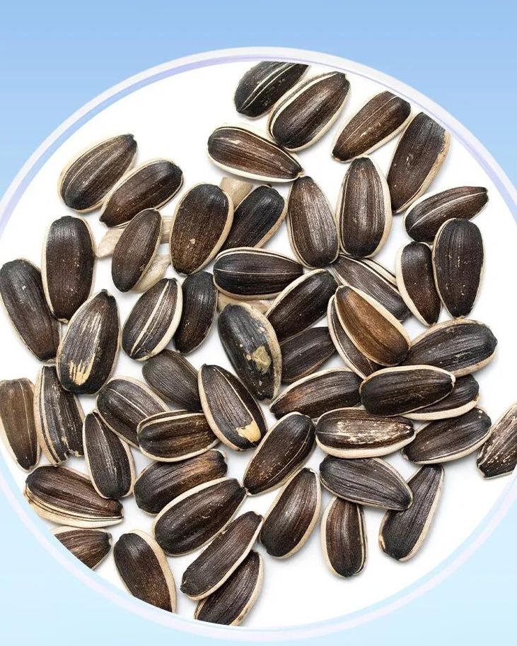 30秒懂丨嗑瓜子还能抗炎抗衰？