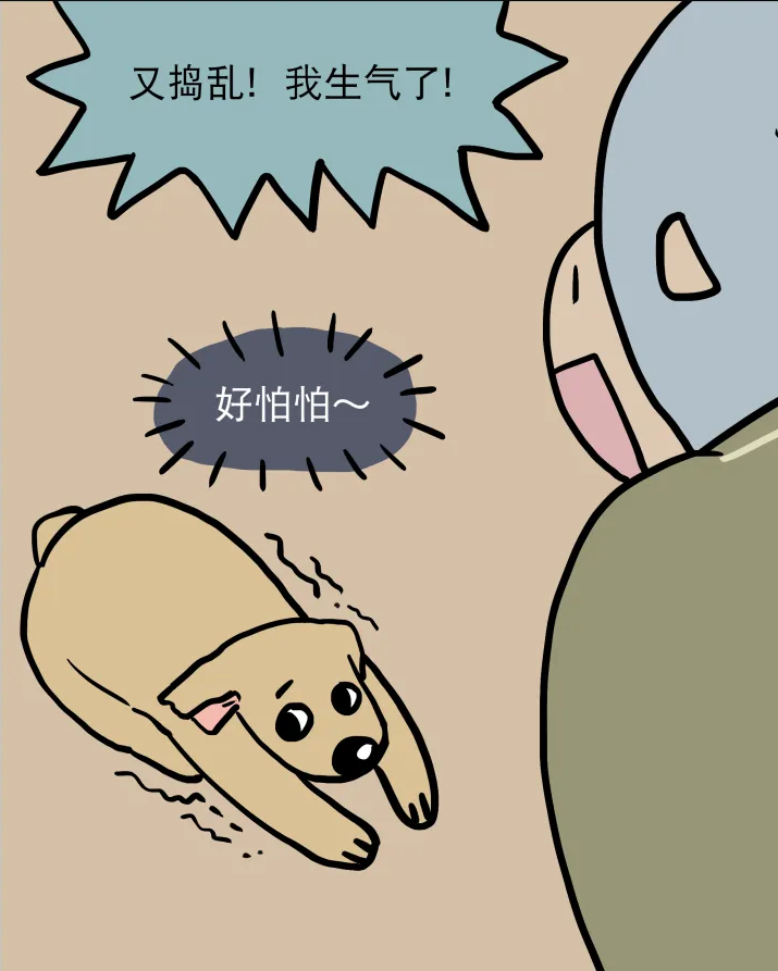 闯祸后一脸委屈，小狗真的知错吗？