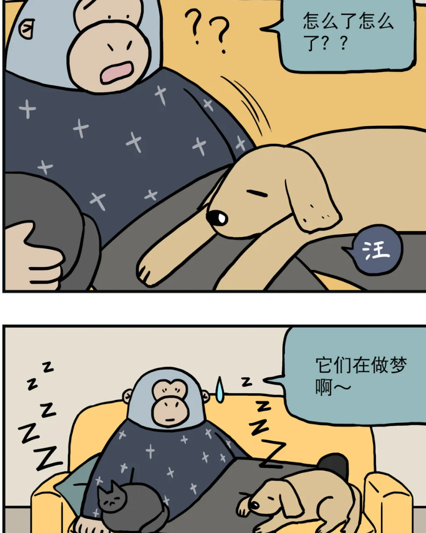 怎么判断小猫小狗做噩梦还是美梦？