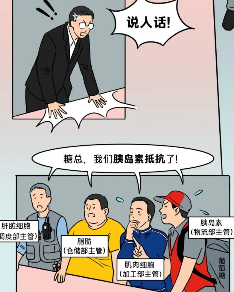 “糖总，我们胰岛素抵抗了！”