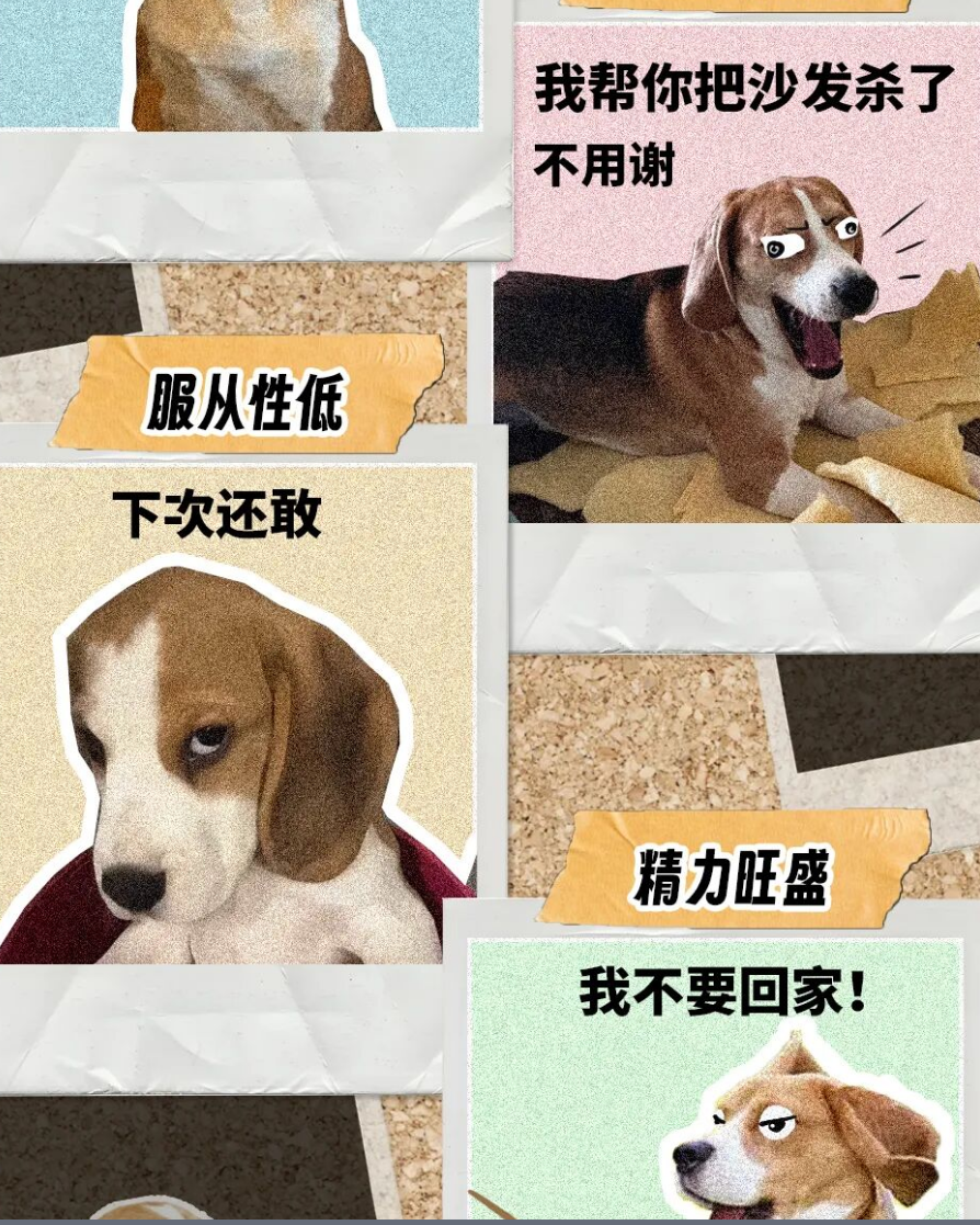 “英雄并不总围着披风，有时它们穿着毛茸茸的外套”