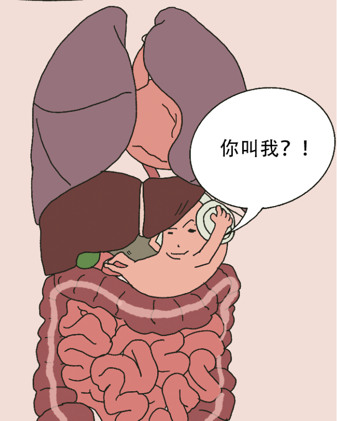 打嗝、口臭、心火烧？有些小毛病是胃在求救