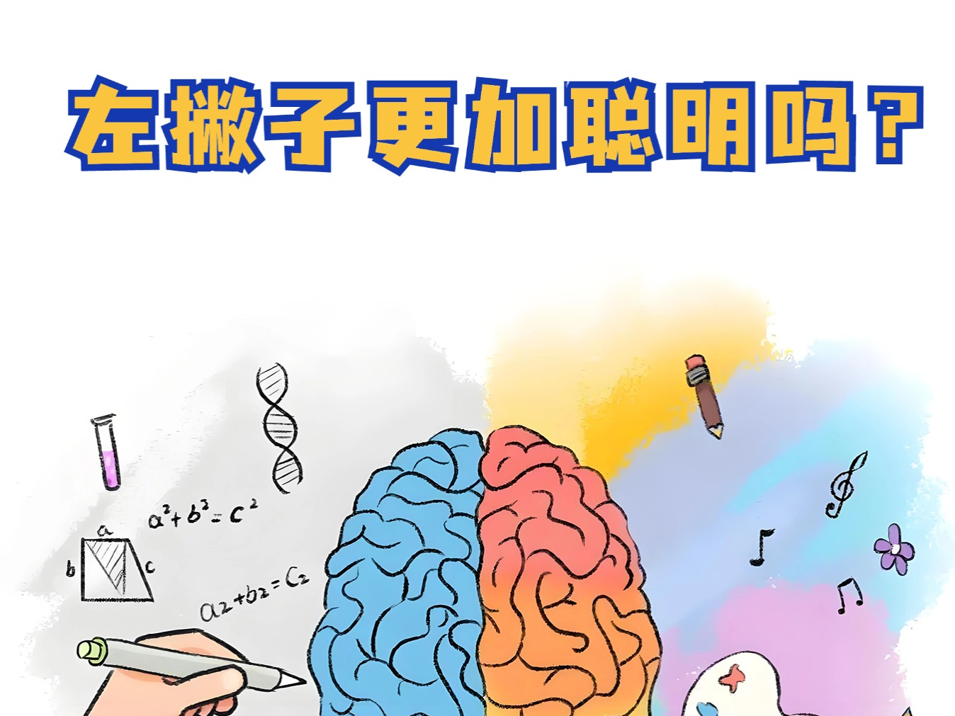 左撇子真的更聪明吗？
