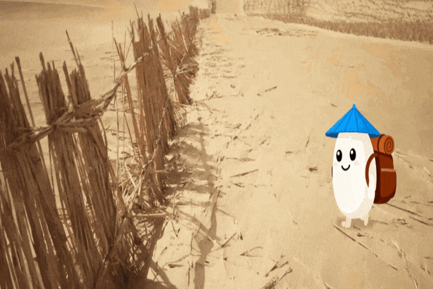 沙漠稻香 科技兴农——沙漠温室水稻快速繁育技术