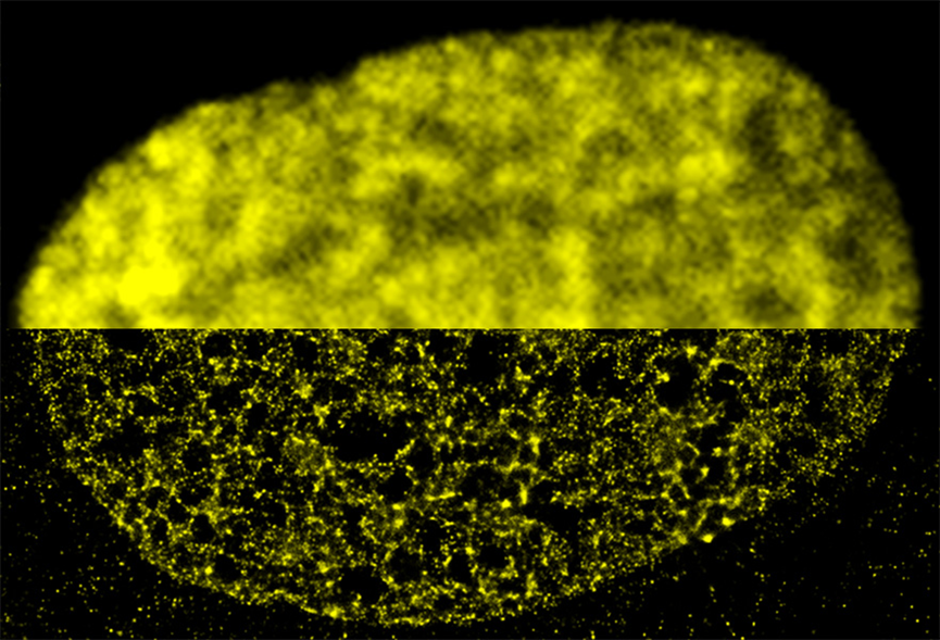 显微镜也能开“外挂”？！不仅打破了物理极限，还要顺手改写生物教科书？？？