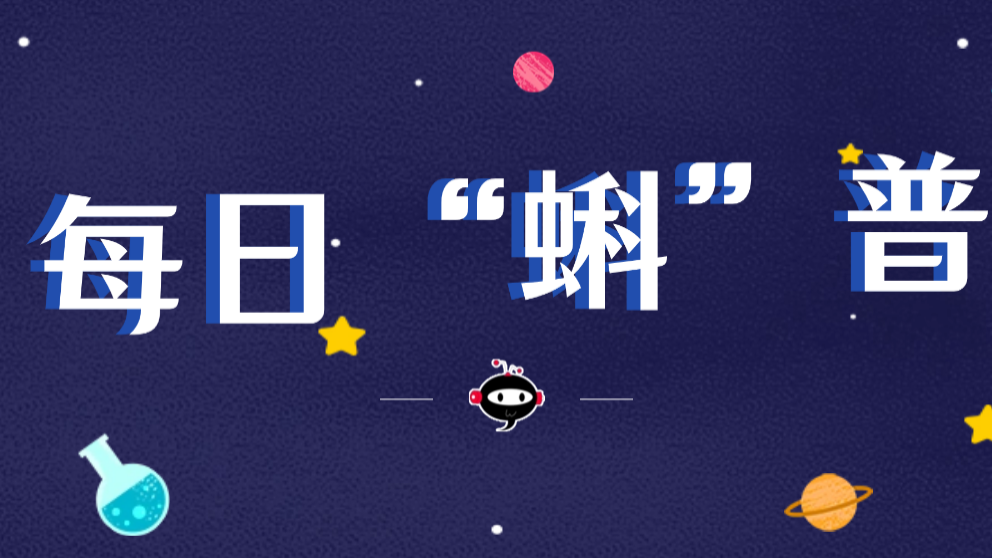 每日“蝌”普