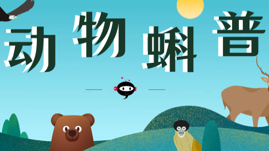 动物科普