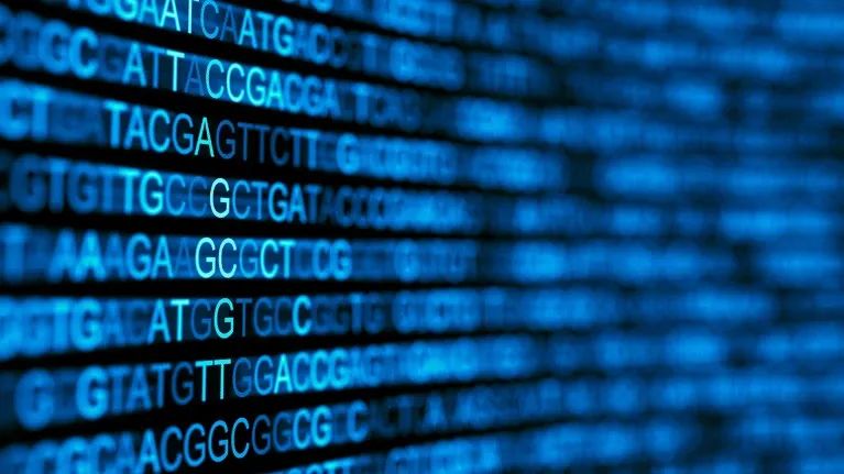 谷歌团队开发AI新利器，解码人类基因组“暗物质”