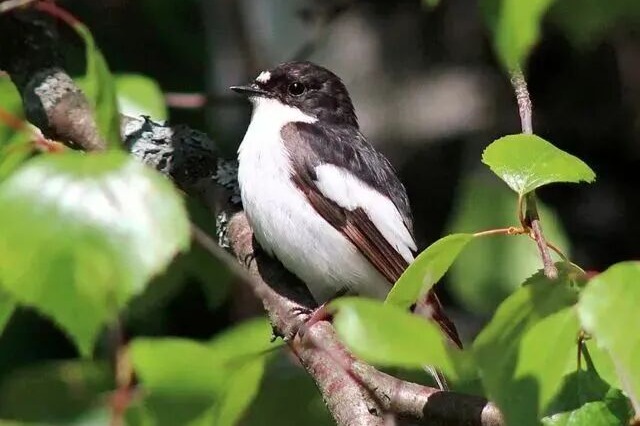 和爱情有关的800万种死法，今天我们挑3个讲