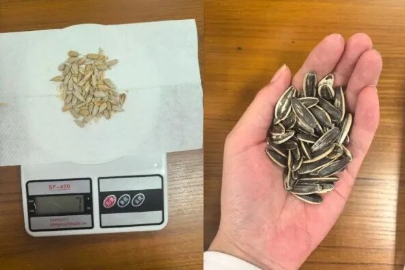 每天一小把，男子血脂超标10倍！春节都爱吃，医生紧急提醒