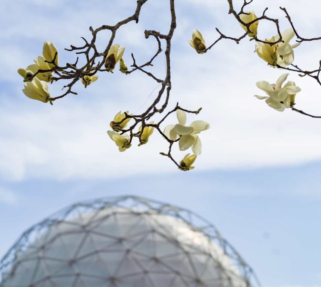 undefined 图片1.png