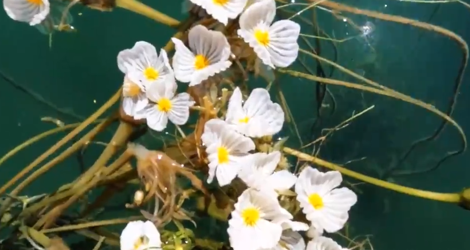 undefined 图片8.png