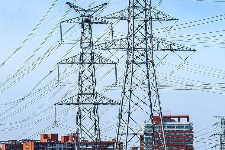 开车压到它，千万别急着下车查看！