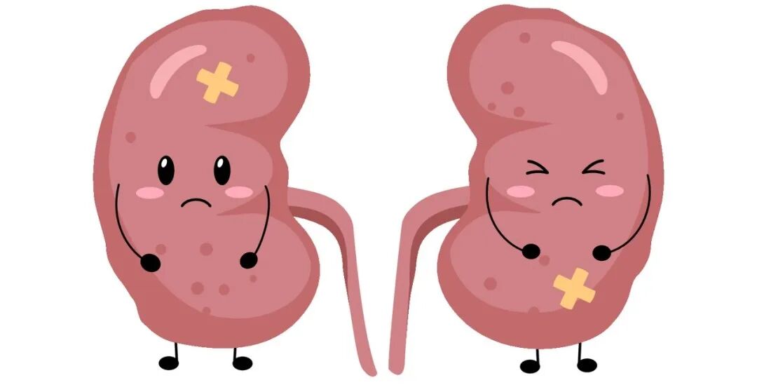 肾不好的人容易缺钙，是真是假？