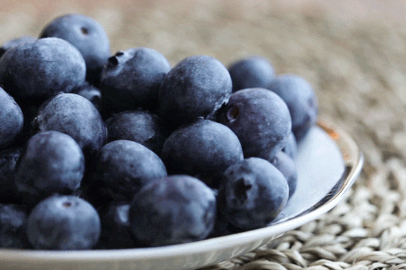 蓝莓个头越小越营养？还真有一定的道理