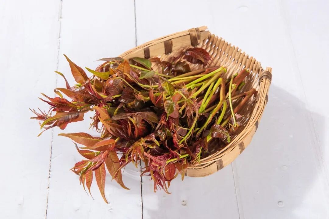 这道“时令菜”，焯不焯水差别很大