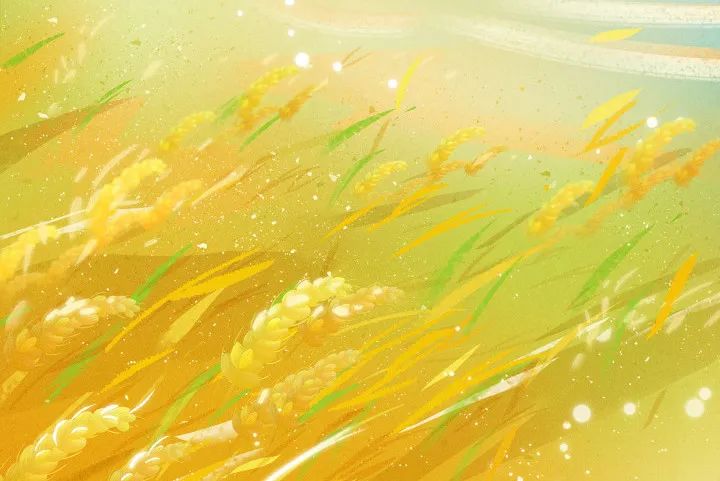 芒种不养生，夏天易生病！中医师提醒您要这么做→