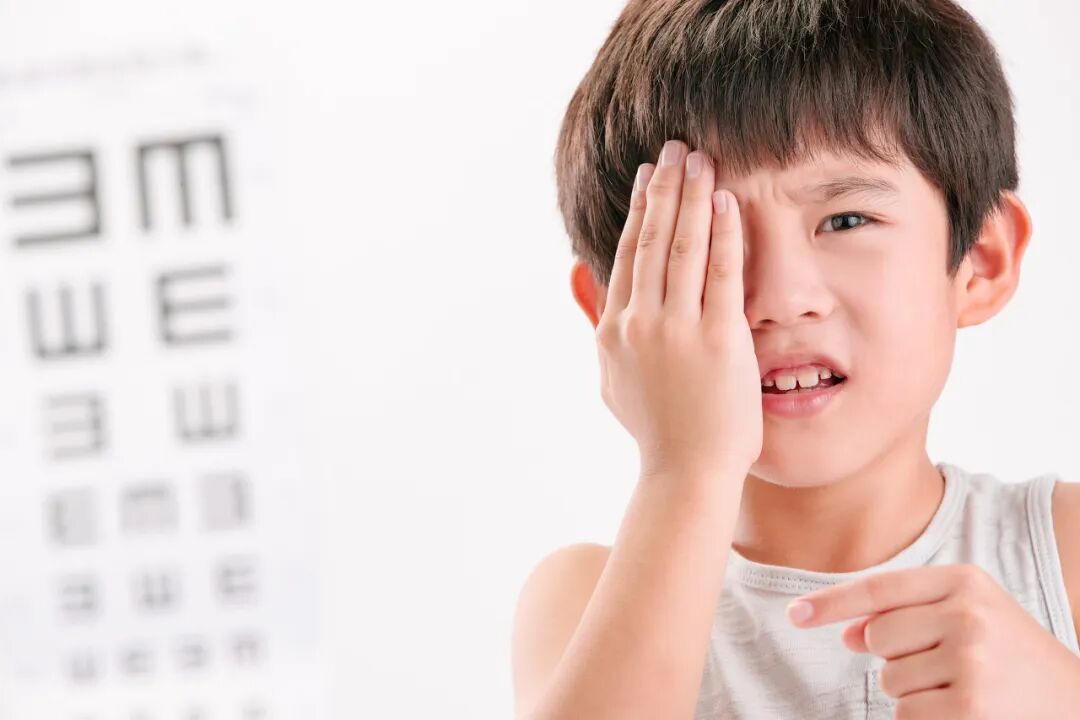 视力下降，家中的宠物竟然是“罪魁祸首”？！｜真相解码