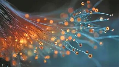 科学家在有机材料内观测到量子效应