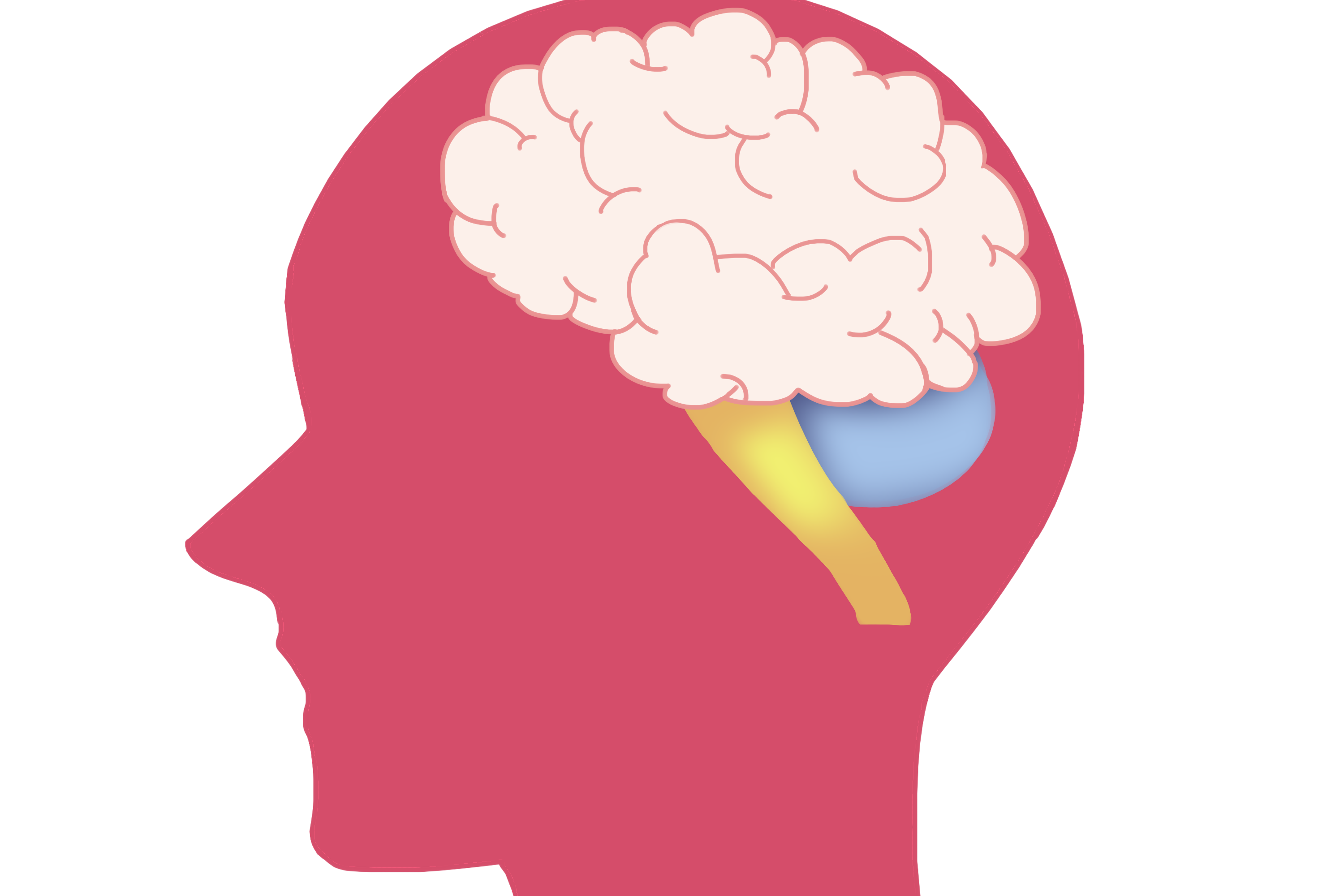 食用动物大脑，有益脑健康……是真是假？| 谣言终结站