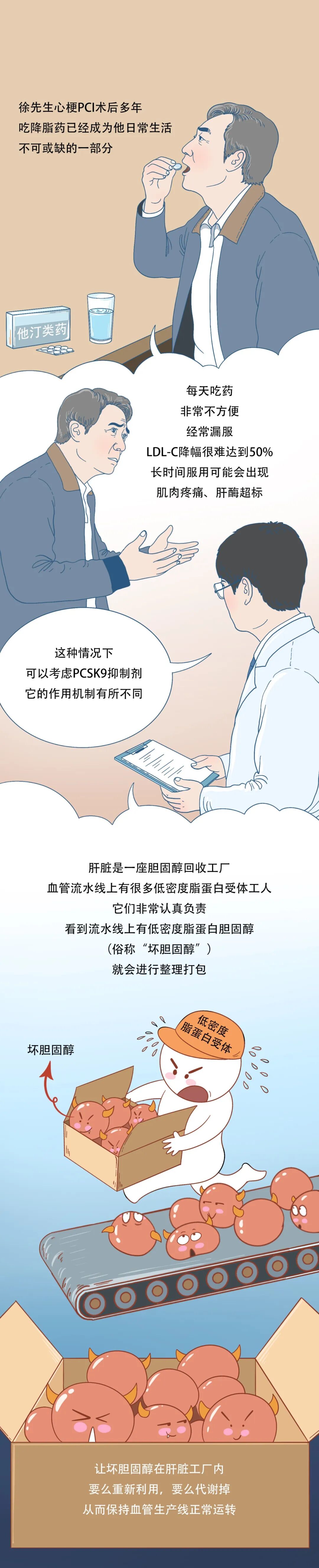 一剂降脂药的血管之旅