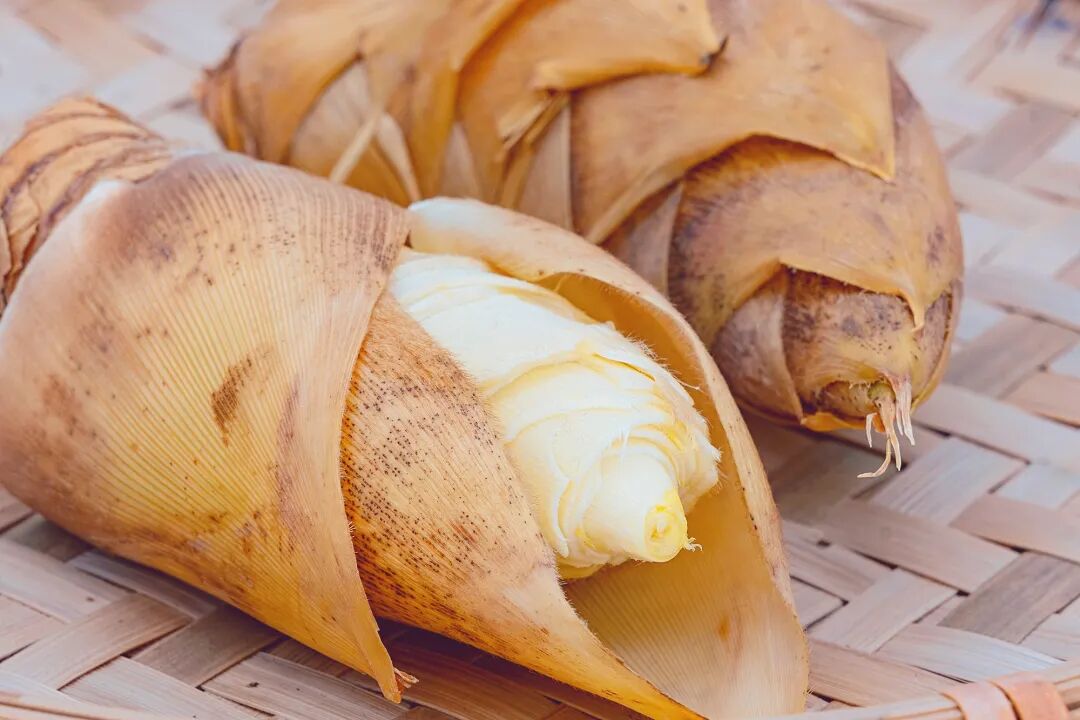 一年四季都有“笋”，为什么尤其推荐冬笋？