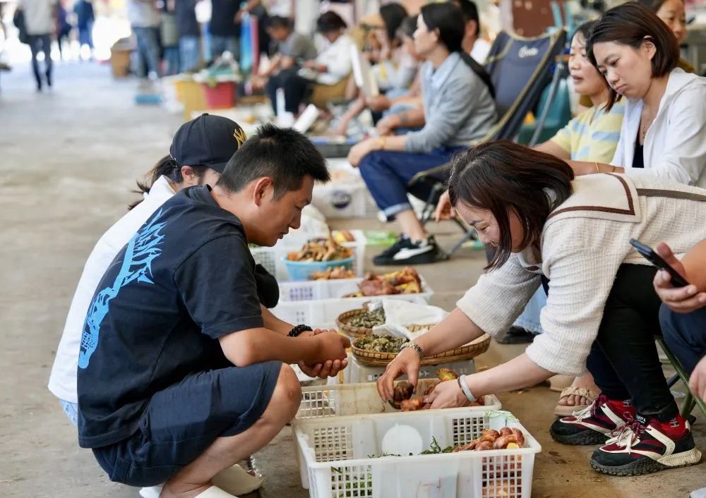 如何防范食用野生菌中毒？