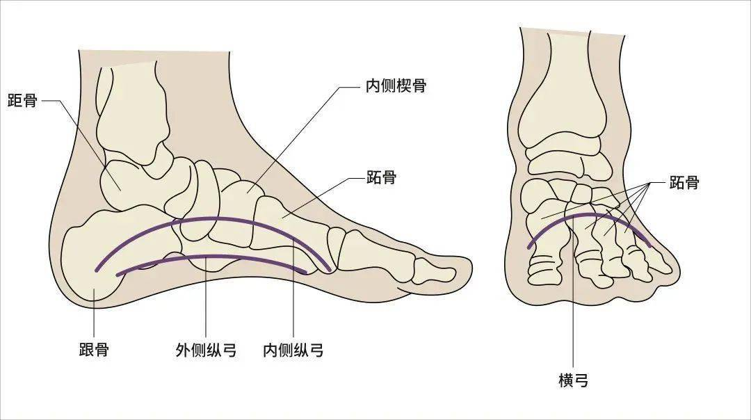 走路跑步总累？可能是脚的这个地方出了问题