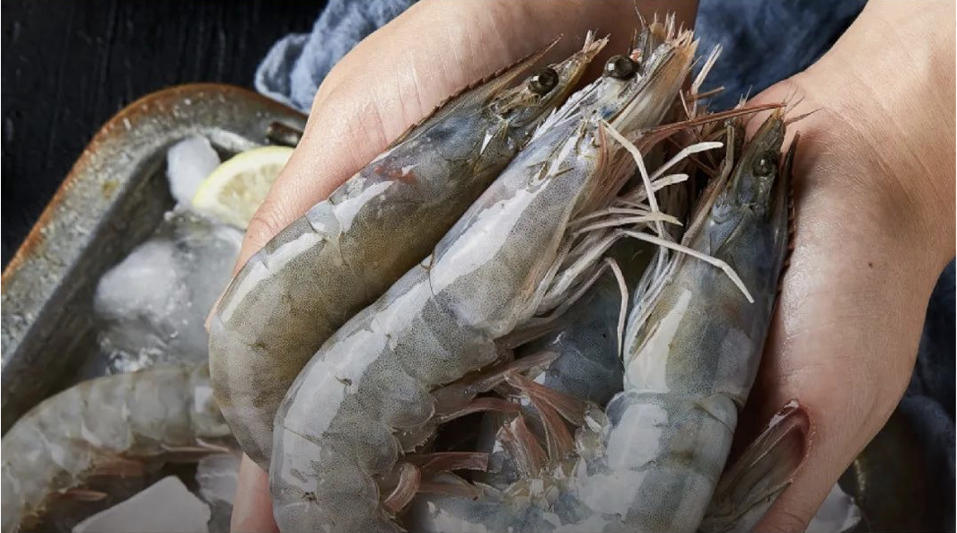 虾背上的黑线真的很脏么？能吃吗？
