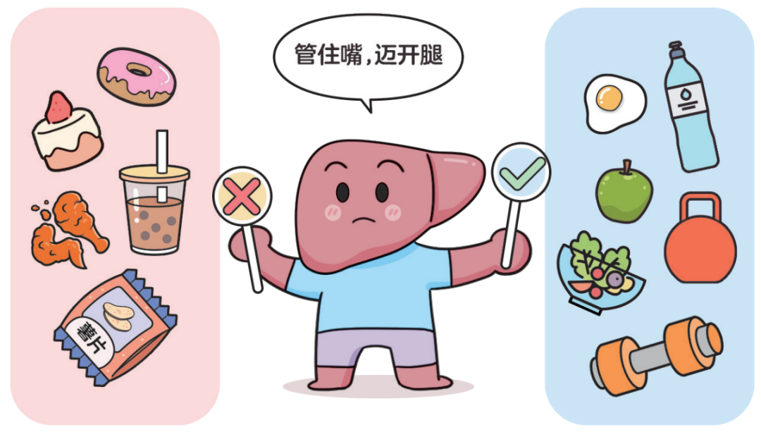 为什么人一瘦，脂肪肝就好了？
