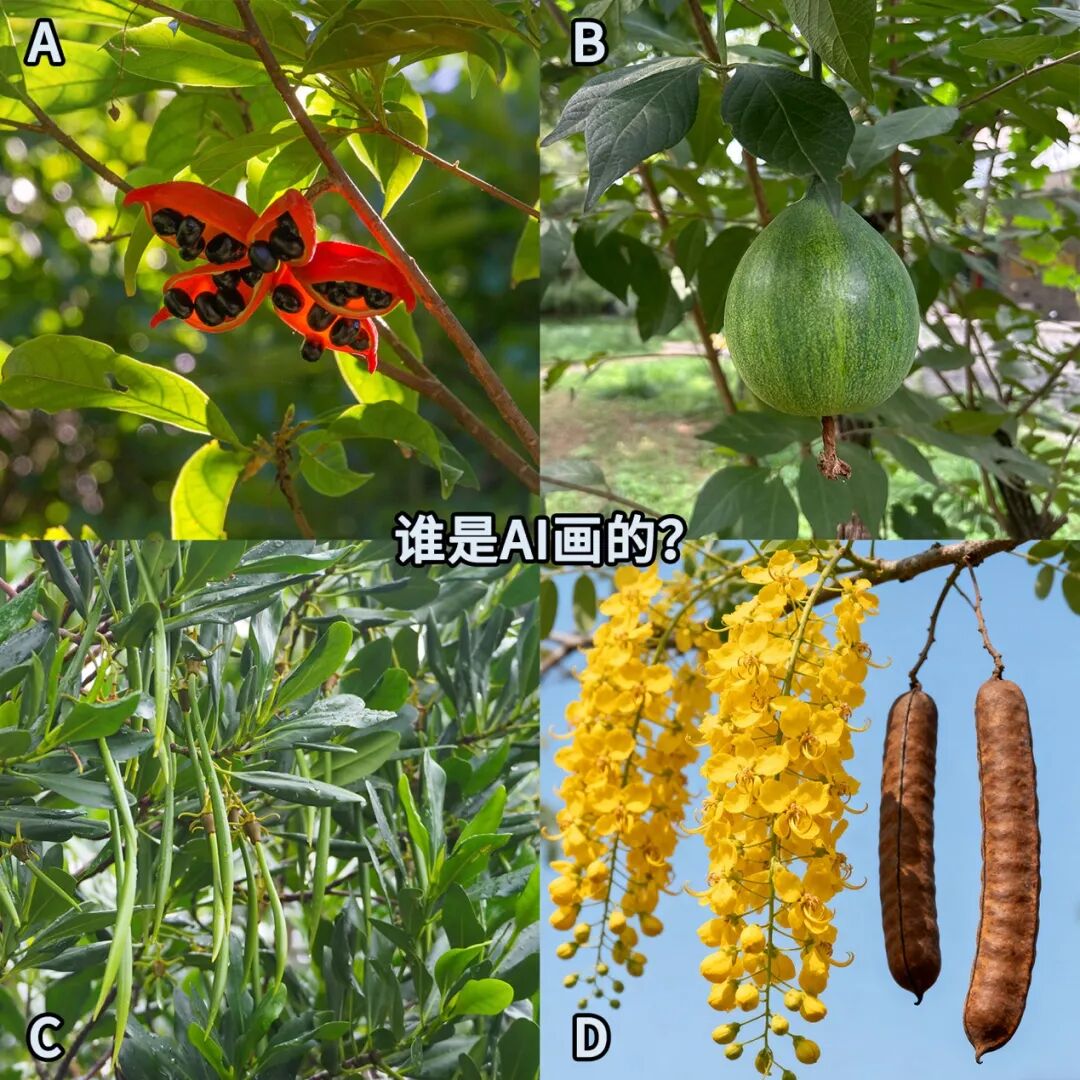 “花生上树了”，良品铺子丢人丢大了