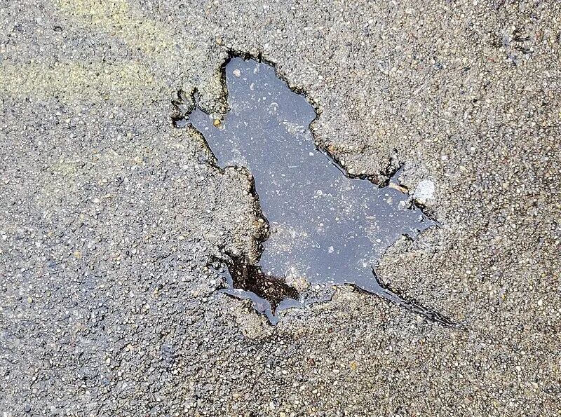 全球最著名老鼠洞：有人扔硬币，有人来求婚