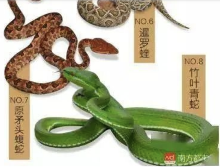 抗蛇毒的血清，为什么只能从马身上抽取？