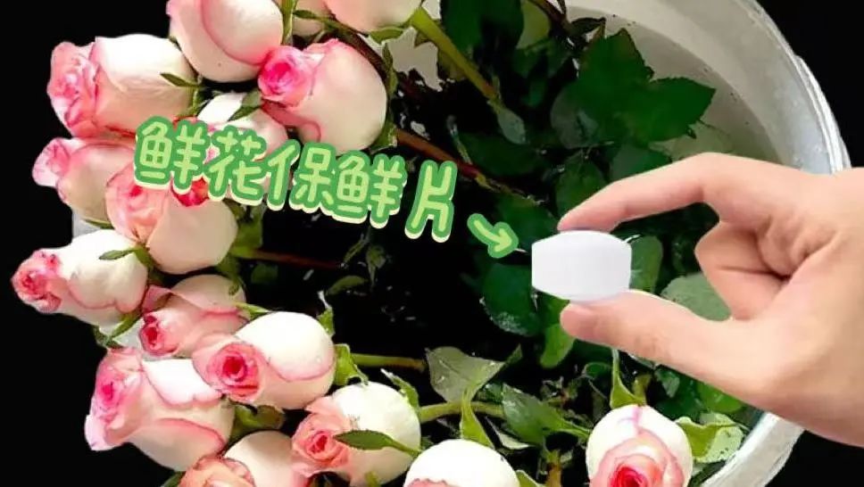 涨知识！“雪碧+84消毒液”养花，花真的开得更久！