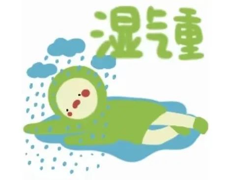 三伏天又湿又热？别急，广东人带着五指毛桃救你来了！