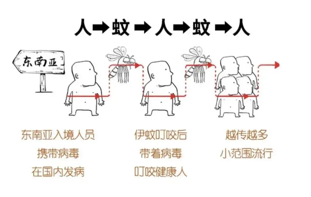 基孔肯雅热可能“人传人”，所以需要隔离？