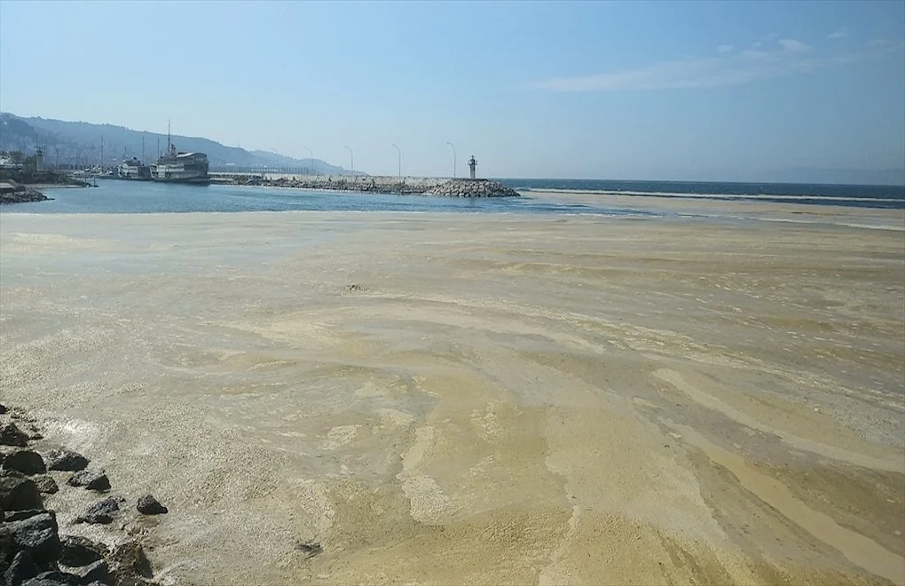 世界上最小的海，快被“鼻涕”填满了