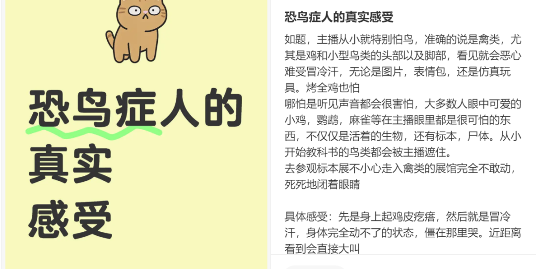 “我真的真的很怕鸡”！禽类恐惧症到底是种什么样的感受？