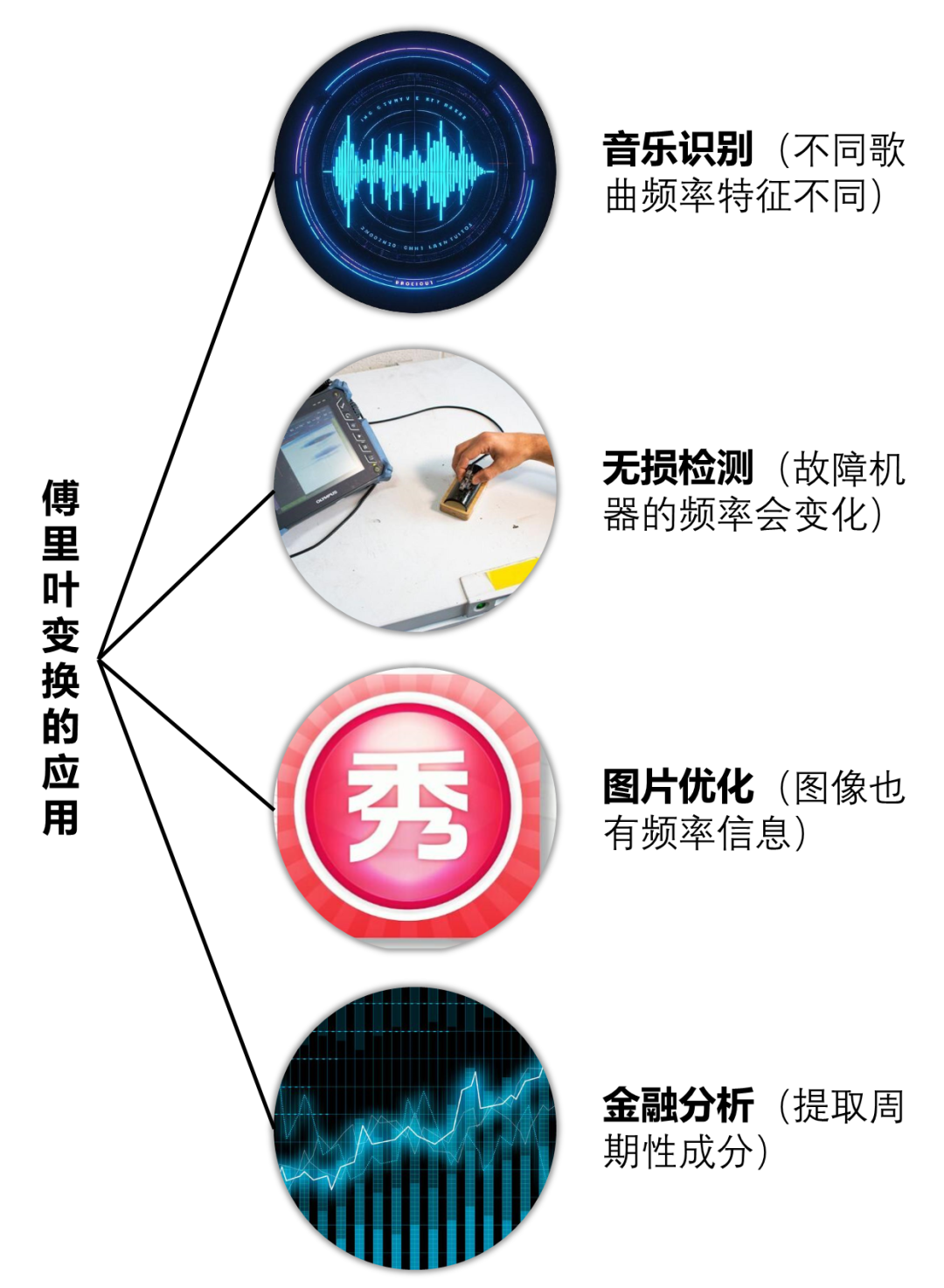 我家狗子引发的一场“惨案”，竟讲清楚了傅里叶变换……