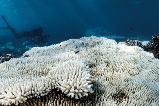 你生成5秒AI视频的能量，相当于微波炉转了一个多小时