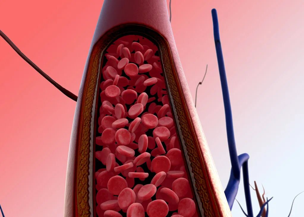 一个血液黏稠的人，身体会发出5个信号