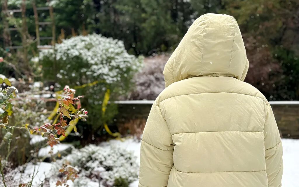 售价千元羽绒服充绒量少引热议，选购羽绒服如何避坑？