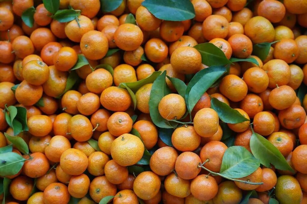 沙糖桔上市，不少人“按箱猛炫”！挑选方法拿走不谢