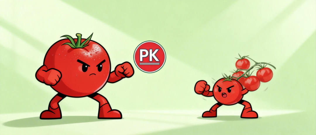 原来圣女果和西红柿是这层关系！颜色不同，差别居然这么大！