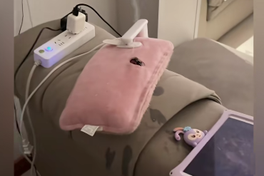 这种电热水袋国家早已明令禁售，千万别再用了！